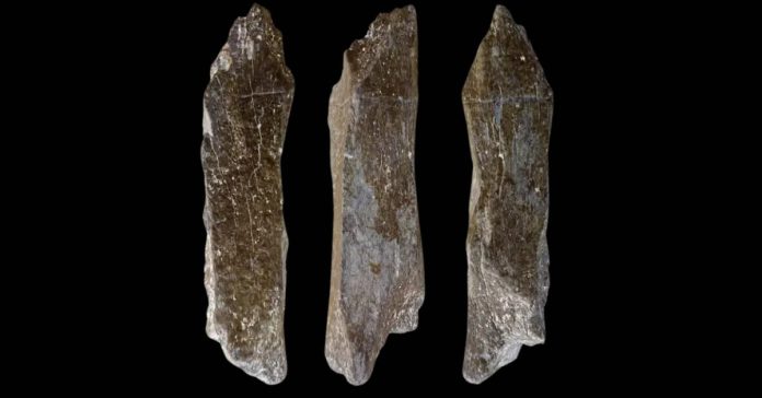 Groundbreaking Archaeological Discoveries in China Span Millennia