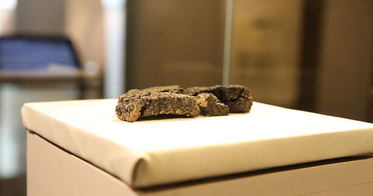 Bread Discovery 5 000 Year Old Loaf Unveiled In Eskişehir Ancient