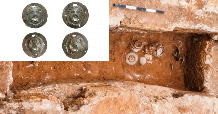 Archaeologists found the bronze artifacts in a pile at the edge of the grave. (Image credit: Assaf Peretz/Israel Antiquities Authority)