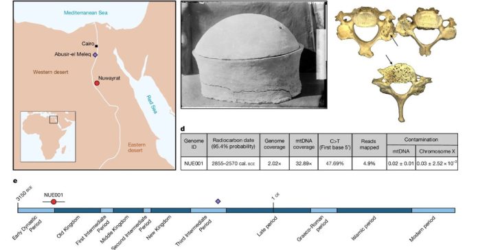 Ancient Egyptian Genome Reveals Ties to Fertile Crescent
