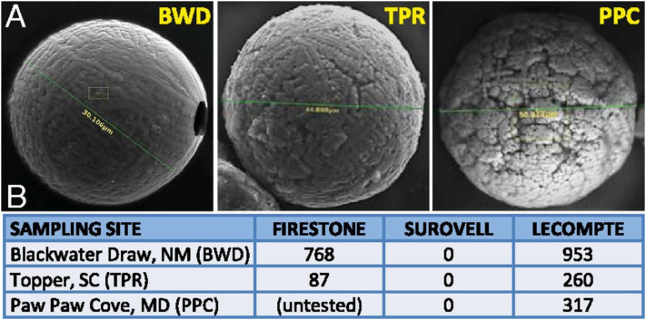 Nano Diamond microspherules