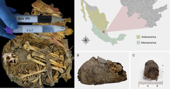 A 1,000-Year-Old Gut Microbiome Discovered in Pre-Hispanic Mexico