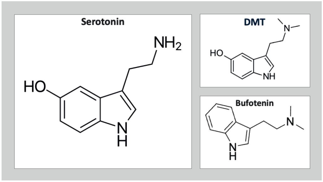 Molecule comparison