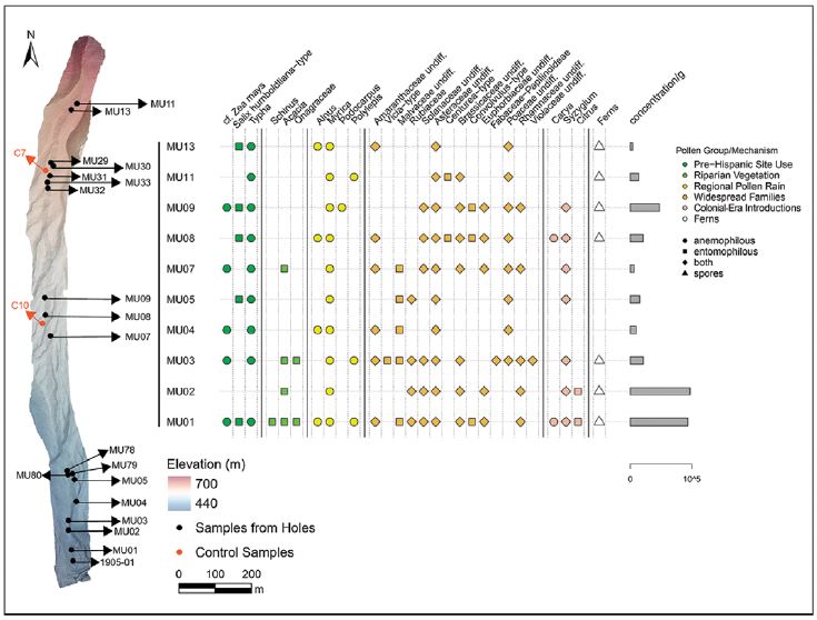 Monte Sierpe Samples