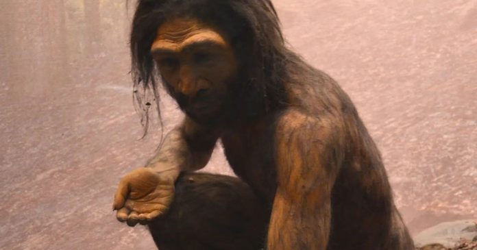 Scientists discover new species of human ancestors, Homo juluensis . Credit: Adam Fagen, CC BY-NC-SA 2.0