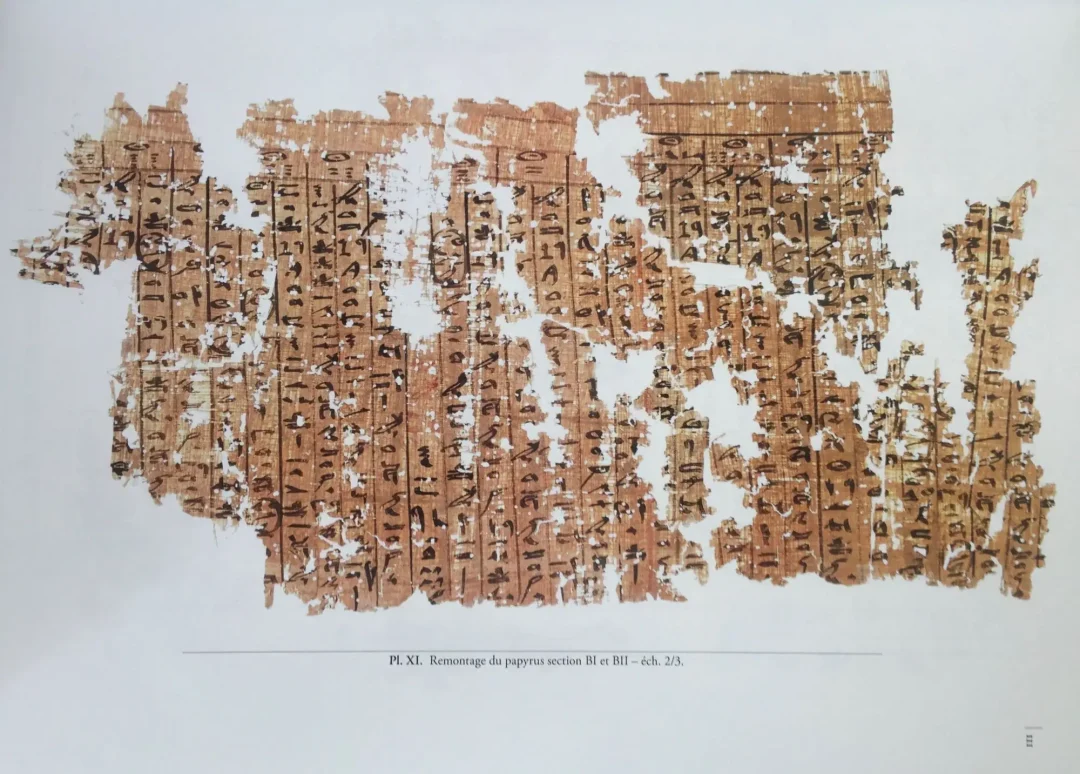 The Red Sea Papyri I