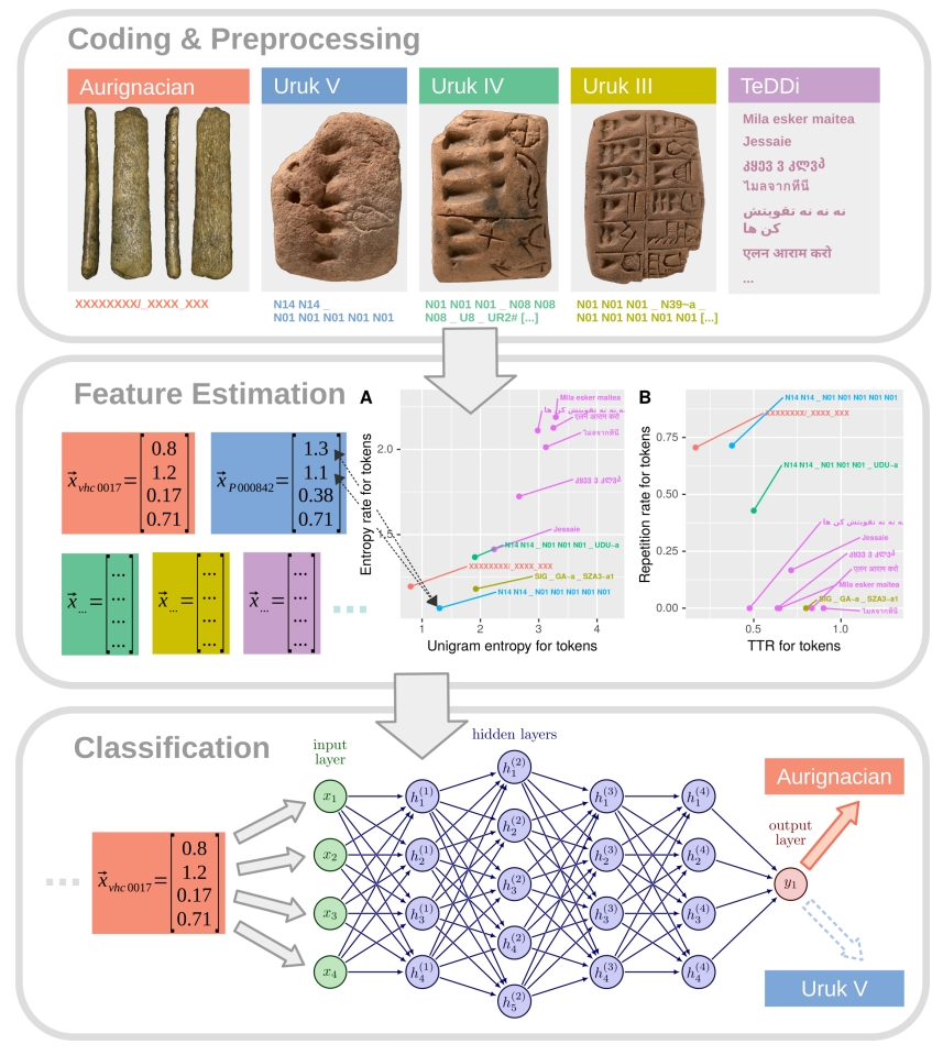 Aurignacian Study