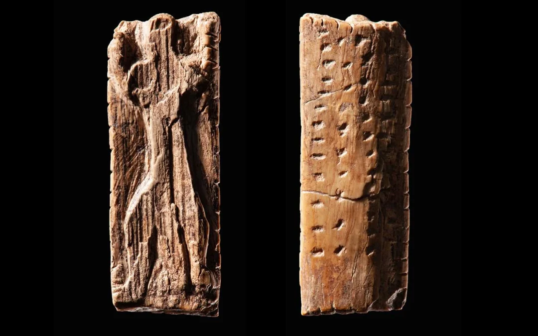 Aurignacian Artifact